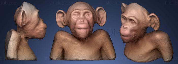 3D model Monkey (STL)